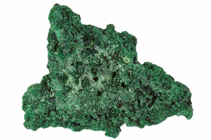 Silky Fibrous Malachite Cluster - Congo #110481